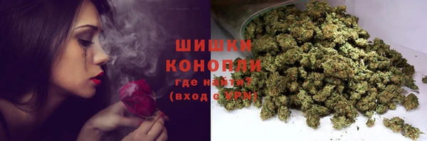 стаф Абаза