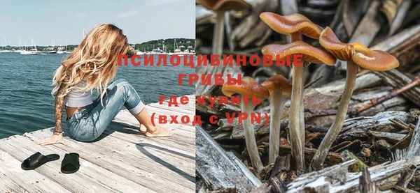 героин Алзамай