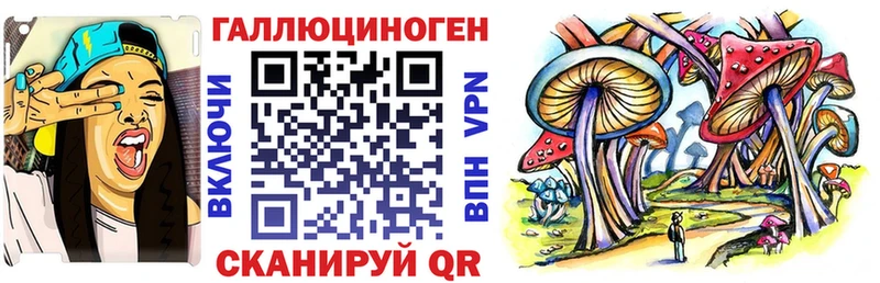 blacksprut вход  Сусуман  Псилоцибиновые грибы Cubensis 