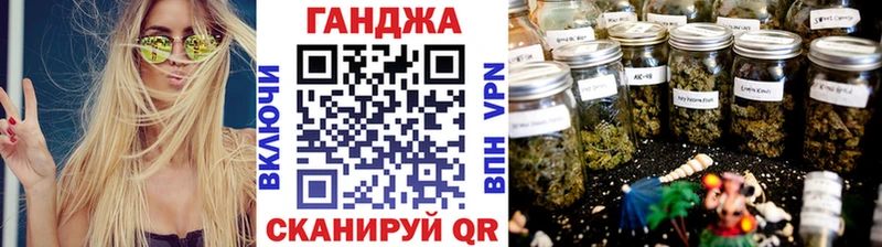 Шишки марихуана сатива  где найти наркотики  Сусуман 